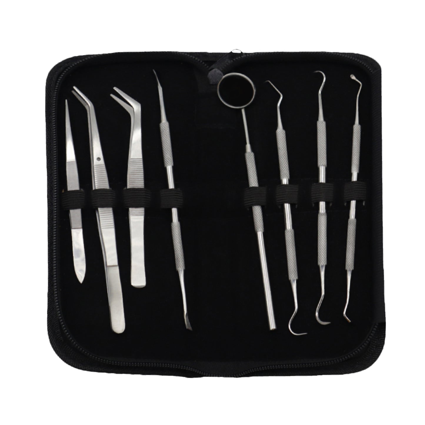 Professional Student kits 8 in 1 Teeth Dental cleaning kits Stainless Steel / Dental Oral Hygiene Kit