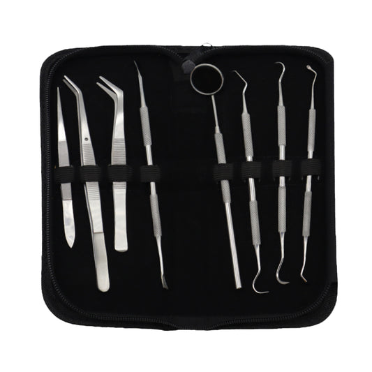 Professional Student kits 8 in 1 Teeth Dental cleaning kits Stainless Steel / Dental Oral Hygiene Kit